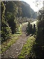 Footpath to Crediton