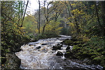 SD6973 : The Waterfalls Walk - Swilla Glen by Ashley Dace