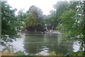 Looking across the River Thames to Teddington