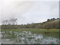 Flooding above Pont y Garreg-fechan