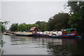 Boats moored near Teddington