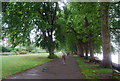 Thames Path, Canbury Gardens