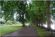 TQ1769 : Thames Path, Canbury Gardens by N Chadwick