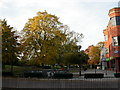 Coventry, autumn colours