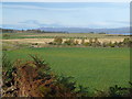 Farmland near Hunting Hill