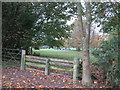 Cross Country horse jump in Denne Hill Farm