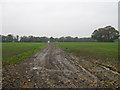 Farm track near Denne Hill Farm