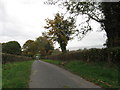 Country Lane, Upper Maes-coed