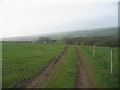 Llwybr Great Pale Footpath