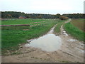 Track near New Park Farm, Bretton, Peterborough