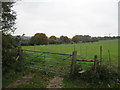 North Downs Way stile on Moon Hill