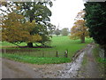 Footpath junction in Waldershare Park