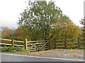 Autumn leaves blowing round a gate by the A377