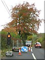 Tree surgery by the A377