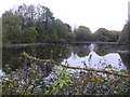 Lochan at Cairnhouse Farm