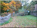 Footpath to Cadair Ifan Goch