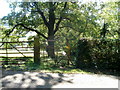 Kissing gate and electric fence