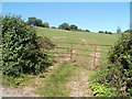 Field entrance near Pant-gwyn farm