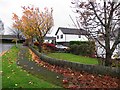 Fallen leaves, Georgian Villas, Omagh