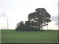 Air shaft near Upton Wood