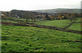 Looking across the fields