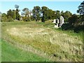 Berkhamsted Castle