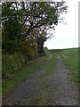 Farm track along a field margin