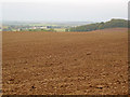 Arable land near Redgate Wood