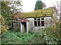 Ruined cottage surrounded by nettles