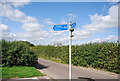 Cycle signpost, Lower Haysden Lane