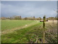 Way marker on the Staffordshire Way near Abbotsholme School