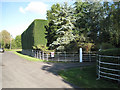 Entrance to Willowbrook House