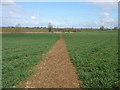SP5868 : Field path and part of Jurassic Way east of Ashby St Ledgers by Colin Park