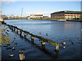 The River Tees at Stockton