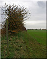 The Public Footpath towards Barnetby le Wold