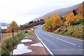 A82 near Altrua