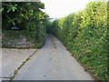 Narrow country lane