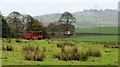 Fields, Ballyskeagh near Dunmurry