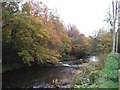 River Dart above Austin