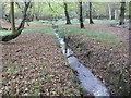 Cripsey Brook in Epping Forest