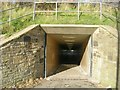 Subway under Ring Road - from bottom of Westdale Drive