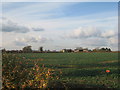 View towards Middle Farm. Cold Hanworth