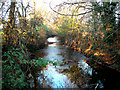 Beverley Brook by Palewell Common