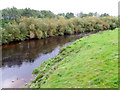 River Swale, Morton-on-Swale