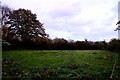 Field by Mill Lane