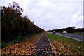 Cycle track by the Northern Bypass