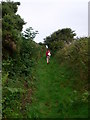 A green lane near Porth Dinllaen Farm