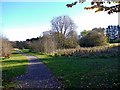 Path, Ponteland Park