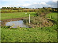 North Weald Bassett: Lower Thornhill Flood Storage Area