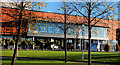 Grass and trees, Belfast